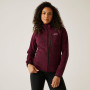 Damen-Sweatshirt Regatta Women’s Hooded Newhill
