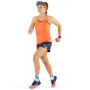 Damenshorts Dynafit Alpine Shorts W