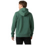 Herren-Sweatshirt Helly Hansen Core Graphic Hoodie
