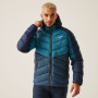 Herrenjacke Regatta Hooded Dalent