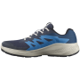 Herren Laufschuhe Salomon Alphaglide Gore-Tex