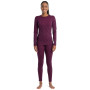 Damen-Funktionsshirt Icebreaker W Mer 200 Oasis LS Crewe First Snow