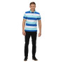 Herren-T-Shirt Regatta Maxen