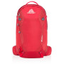 Rucksack Gregory Salvo 24