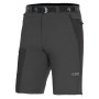 Herrenshorts Direct Alpine Vulcan Short 2022 dunkelgrau Anthracite