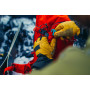 Rucksack Gregory Targhee 32 3.0