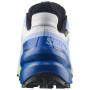 Herren Laufschuhe Salomon Speedcross 6 GTX Icon