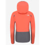 Damenjacke The North Face Apex Flex GTX 2.0