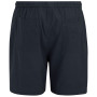 Herrenshorts Regatta Hadlin Shorts