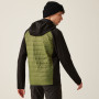 Herrenjacke Regatta Andreson VIII Hybrid