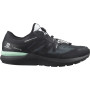 Herrenschuhe Salomon Sonic 4 Gore-Tex