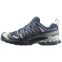 Wanderschuhe Salomon Xa Pro 3D V9 Gore-Tex