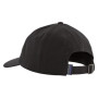 Baseballmütze Patagonia P-6 Label Trad
