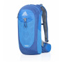 Herren Rucksack Gregory Miwok 12 hellblau ReflexBlue