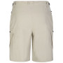 Herrenshorts Dare 2b Tuned In Short II