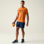 Herren-T-Shirt Dare 2b Tech II Tee