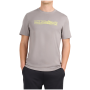 Herren-T-Shirt 4F Tshirt M3572 grau Grey