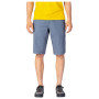 Herrenshorts Rafiki Matto LT