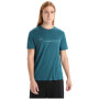 Herren-Funktionsshirt Icebreaker Men Tech Lite II SS Tee Cadence Paths