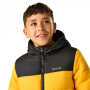 Kinder Winterjacke Regatta Lofthouse Black/Mustard