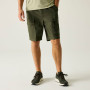 Herrenshorts Regatta Arlery Shorts