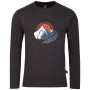 Herren-T-Shirt Dare 2b Stomping Tee grau CharGreyMarl