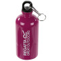 Wasserflasche Regatta 0,5L Steel Bottle lila Azalia
