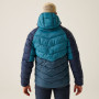 Herrenjacke Regatta Hooded Dalent