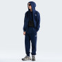 Herren-Sweatshirt The North Face M Evolution Simple Dome Regular Full Zip