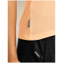 Damen-Funktionsshirt Icebreaker Merino Blend Core SS Tee Panax