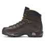 Herrenschuhe Asolo TPS 520 GV MW