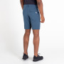 Herrenshorts Dare 2b Duration Short