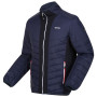 Herrenjacke Regatta Halton VII