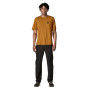 Herren-T-Shirt Patagonia M's Cap Cool Daily Graphic Shirt - Lands