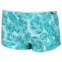Damenbadeanzug Regatta Aceana Bikini Short hellblau Icegreenpalm