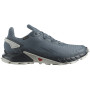 Herren Laufschuhe Salomon Alphacross 4 Gore-Tex