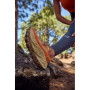Damen Laufschuhe New Balance Fresh Foam X More Trail v3