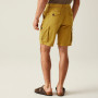 Herrenshorts Regatta Shorebay Shorts II