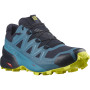Herrenschuhe Salomon Speedcross 5 GTX blau/gelb Nightish