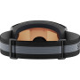 Skibrille Salomon S/View Access