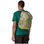 Rucksack Patagonia Refugio Day Pack 30L