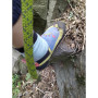 Kletterschuhe Ocún Hero QC