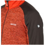 Herren-Sweatshirt Regatta Coladane V