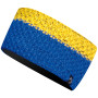 Stirnband Direct Alpine Viper 2021 blau/gelb Gold/Blue