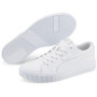 Herrenschuhe Puma Ever FS