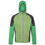 Herren-Sweatshirt Regatta Attare II grün Jasmine Green/Field Green