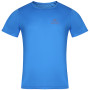 Herren-T-Shirt Alpine Pro Clun blau blue