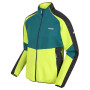 Herrenjacke Regatta Yare V grün PacifG/BrKiw