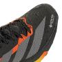 Wanderschuhe Adidas Terrex Agravic Gtx 2