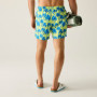 Herrenbadeanzug Regatta Loras Swim Short